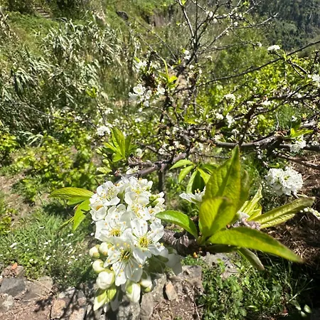 Апартаменты The Valley House