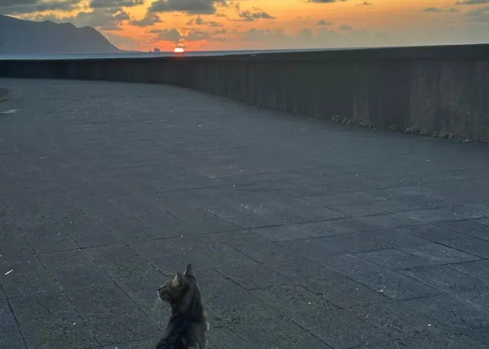 The Valley House Сан-Висенти