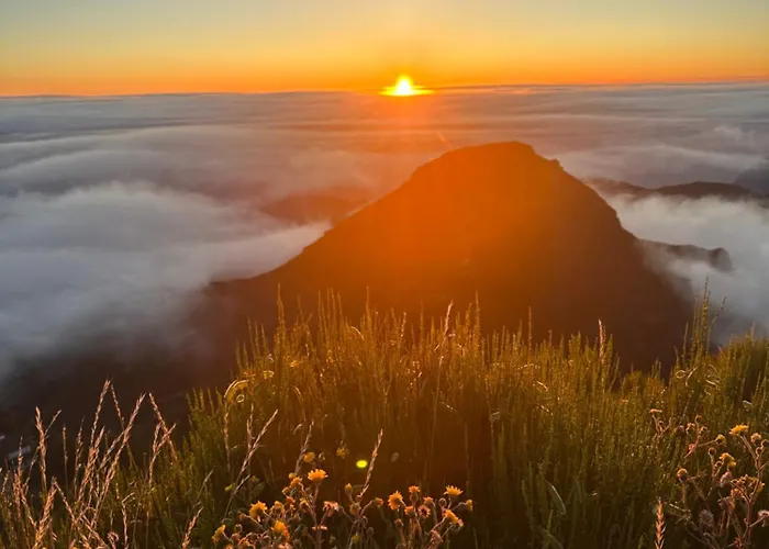 The Valley House * Сан-Висенти