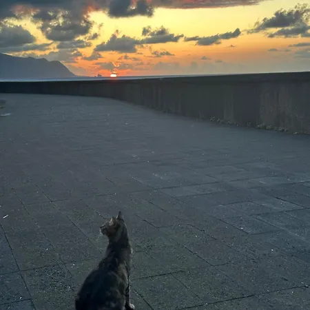 The Valley House Sao Vicente (Madeira)