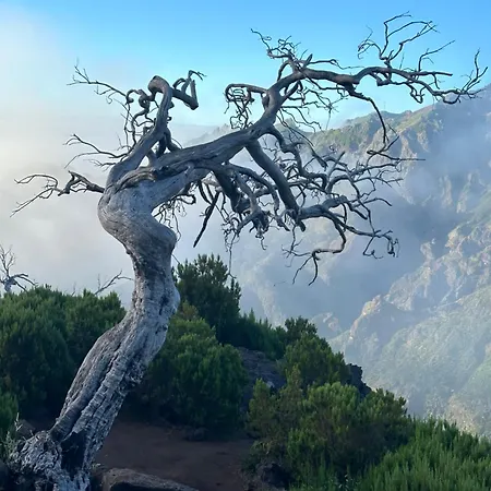 Apartment The Valley House São Vicente