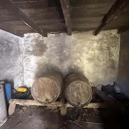 The Valley House Apartment Sao Vicente (Madeira)