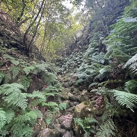 The Valley House Apartment São Vicente