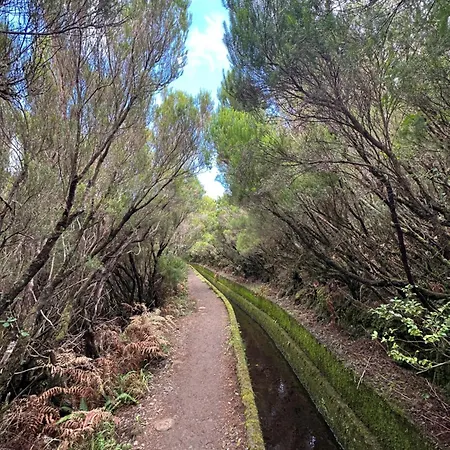 Apartment The Valley House São Vicente