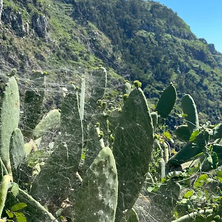 The Valley House Apartment