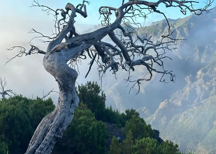 Apartament The Valley House São Vicente