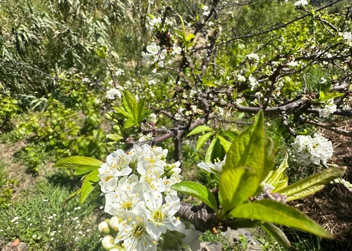 Apartament The Valley House