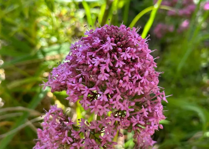 Apartament The Valley House São Vicente