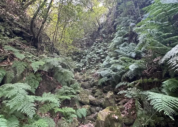 The Valley House Apartament São Vicente