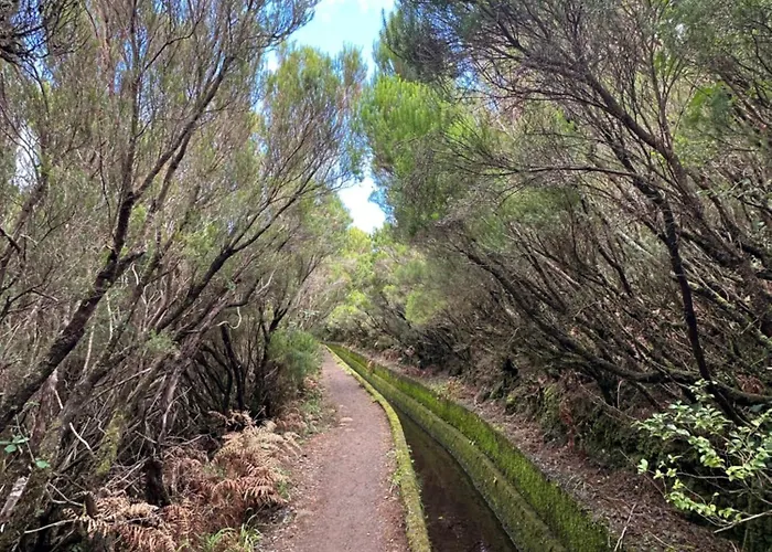 Apartament The Valley House São Vicente