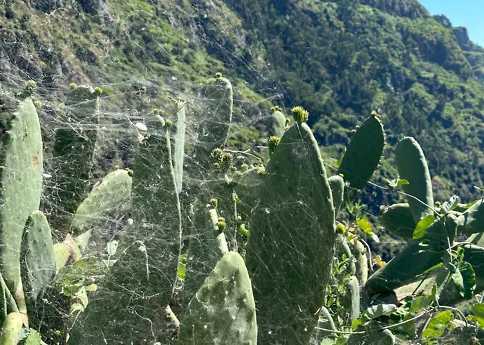 The Valley House Apartament